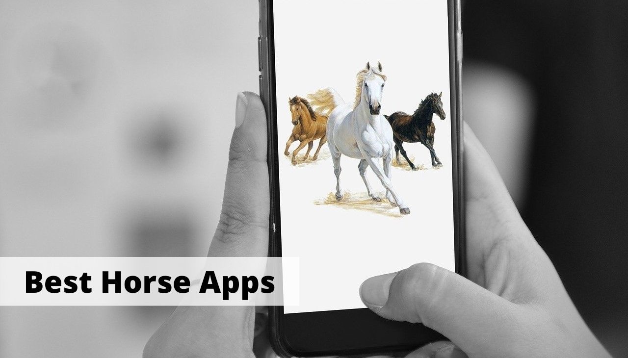 10 Best Horse and Equestrian Apps