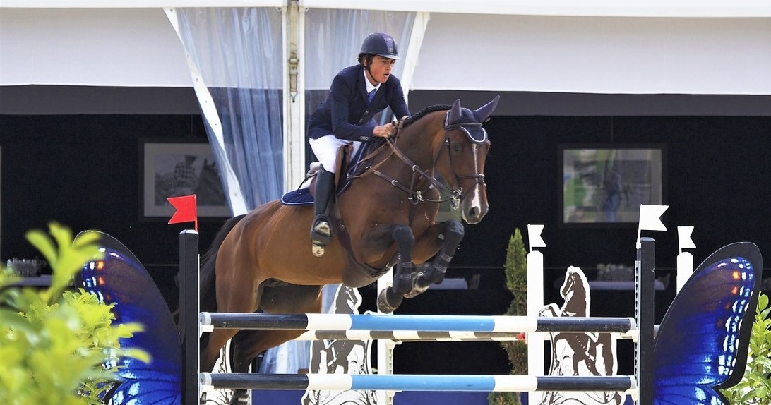 11 Best Showjumping Horses of All Time