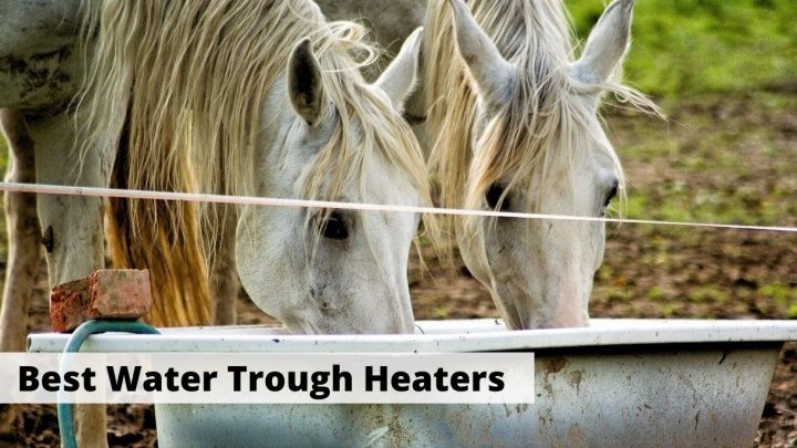 Best water trough heaters and heated water troughs