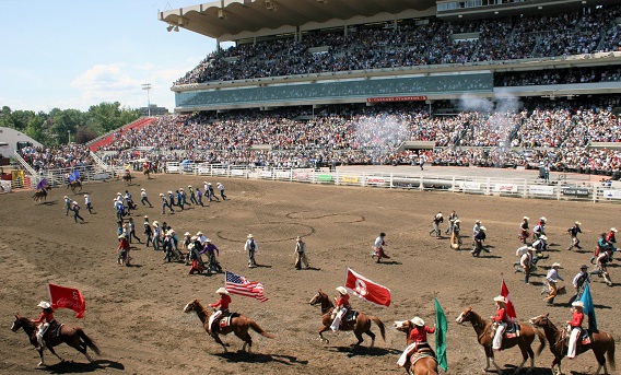 Calgary Stampede, the worlds biggest horse show