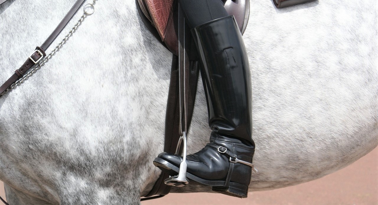 8 Most Comfortable Tall Horse Riding Boots for Equestrians
