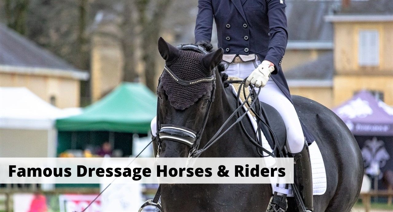 10 Most Famous Dressage Riders & Horses in History