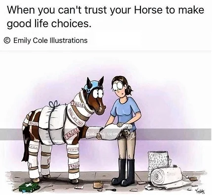 Funny horse vet bills cartoon