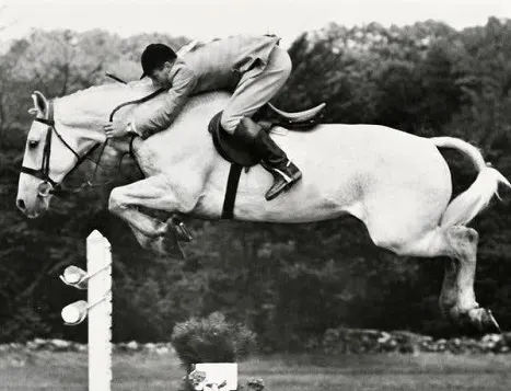 format Advent skranke 11 Best Showjumping Horses of All Time (Photos & History)