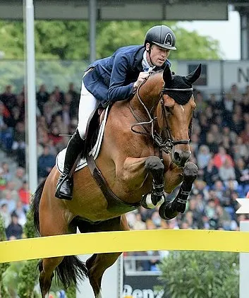 11 Best Showjumping Horses of All Time (Photos & History)