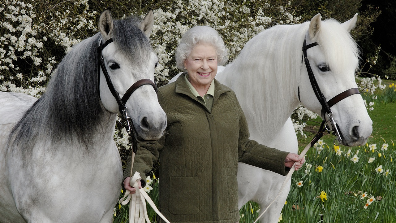 12 Interesting Facts About Queen Elizabeth and Her Horses