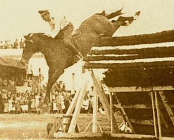 Huaso showjumping horse