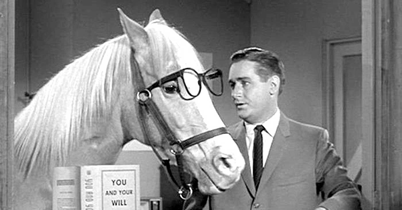 6 Secrets Behind Mr Ed Revealed: Hollywood’s Famous Talking Horse