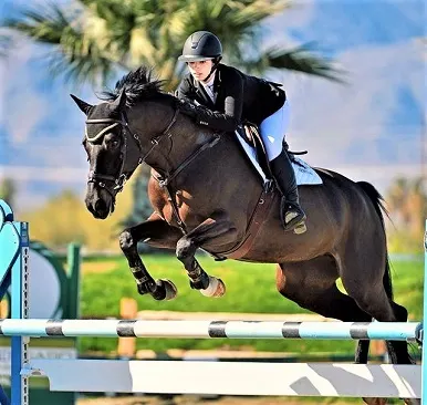 Alisha Newton showjumping