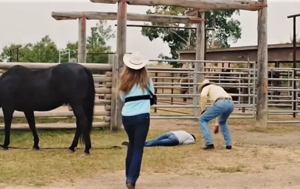 Why Did Heartland Kill Off Ty Borden Heartland Season 14 Spoilers Revealed: Does Ty Borden Die?