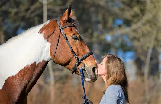 Woman kissing a horse's nose