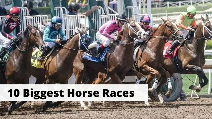 10 Most Famous Horse Races In The World Facts History