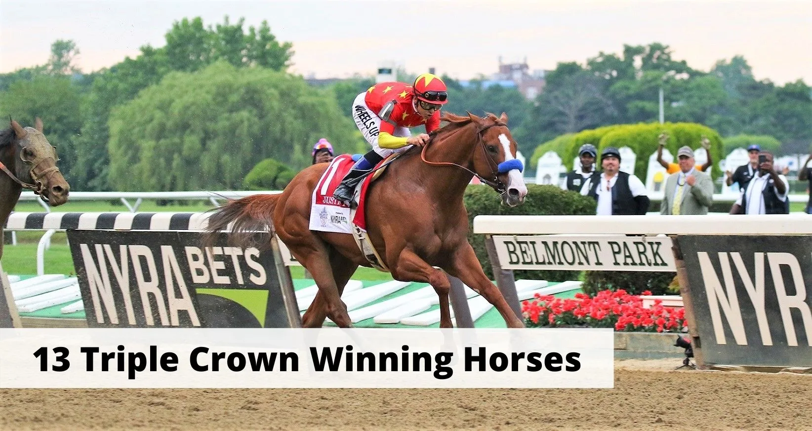All 13 Triple Crown winning horses. Facts, History, and photos