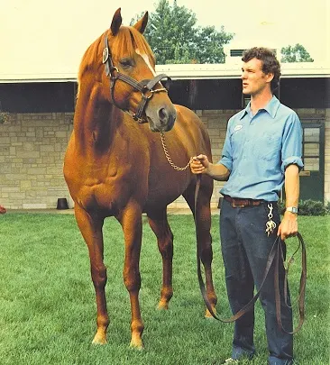 Triple Crown winning horse, Affirmed, at Spendthrift Farm in 1981