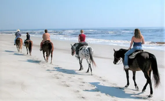 A group of horse riders on Amelia Island in Florida