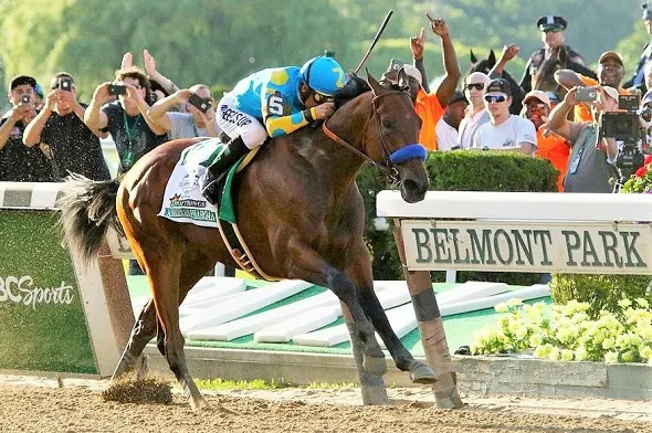 American Pharaoh racing during the Belmont Stakes in 2015