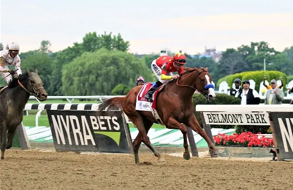 Two horses racing in the Belmont Stakes horse race