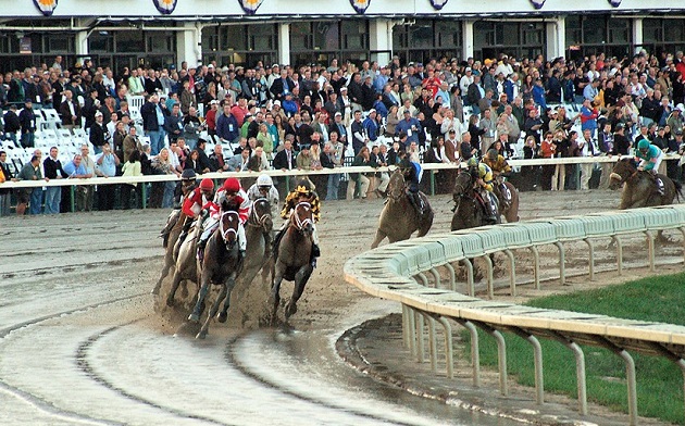 Breeders' Cup 2007 horse race