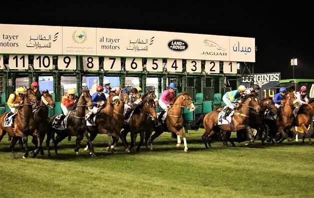 Dubai World Cup horse race starting line with horses starting the race