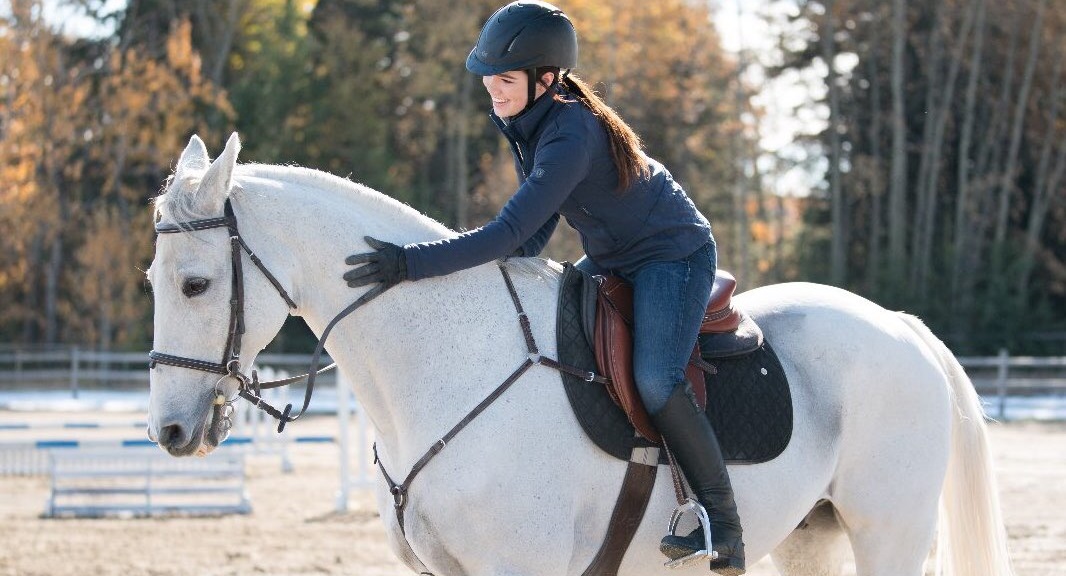 6 Facts & FAQs About Phoenix, Georgie's Horse on Heartland