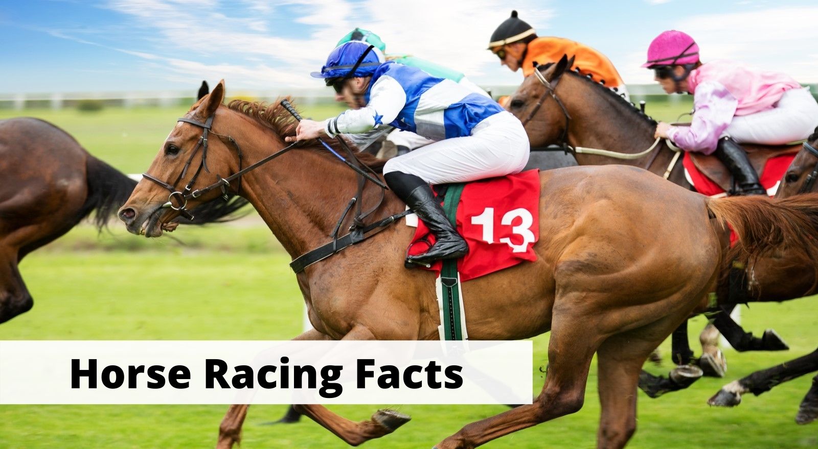 15 Interesting Facts About Horse Racing