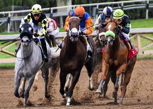 Horse race with five horses and jockeys