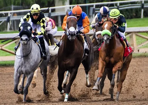 15 Fascinating Horse Racing Facts You Probably Didn't Know