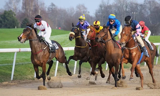 Horses with jockeys racing on a dirt track race course