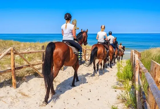 People horse riding on Myrtle Beach in South Carolina