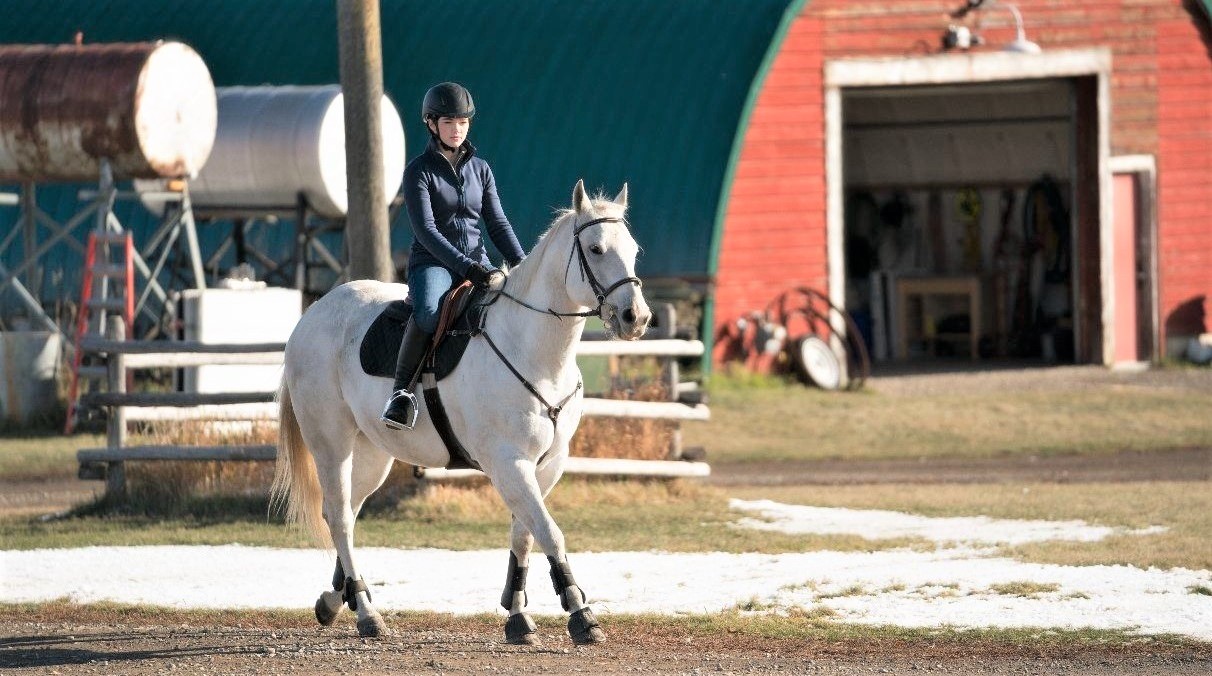 Phoenix, grey horse owned by Georgie on Heartland