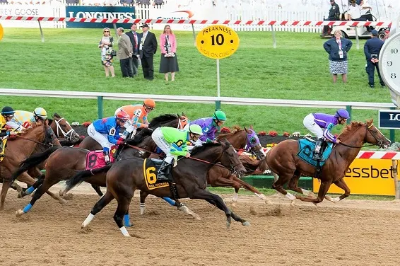 Preakness Stakes horse racing event in the United States