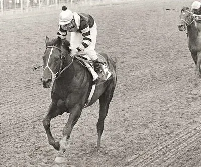 Seattle Slew racehorse
