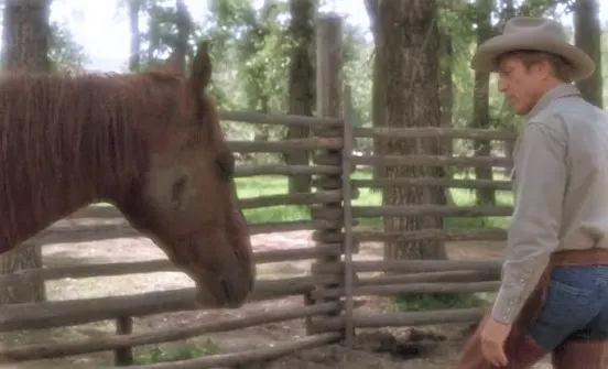 The Horse Whisperer movie scene