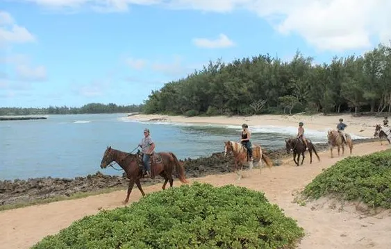 Turtle Bay, Hawaii horse riding tour