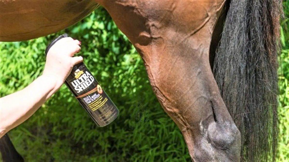 Best fly spray repellents for horses, dogs, and livestock