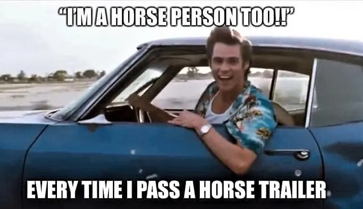 When you pass a horse trailer on the motorway meme