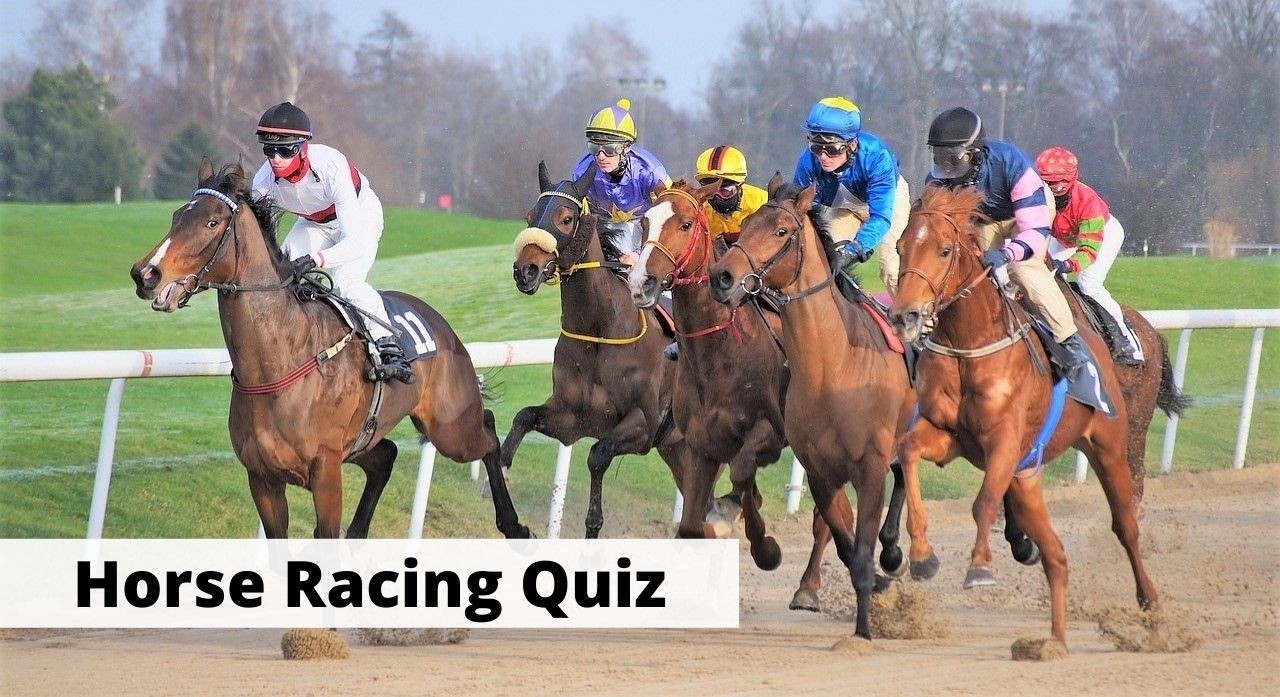 20 Horse Racing Quiz & Trivia Questions