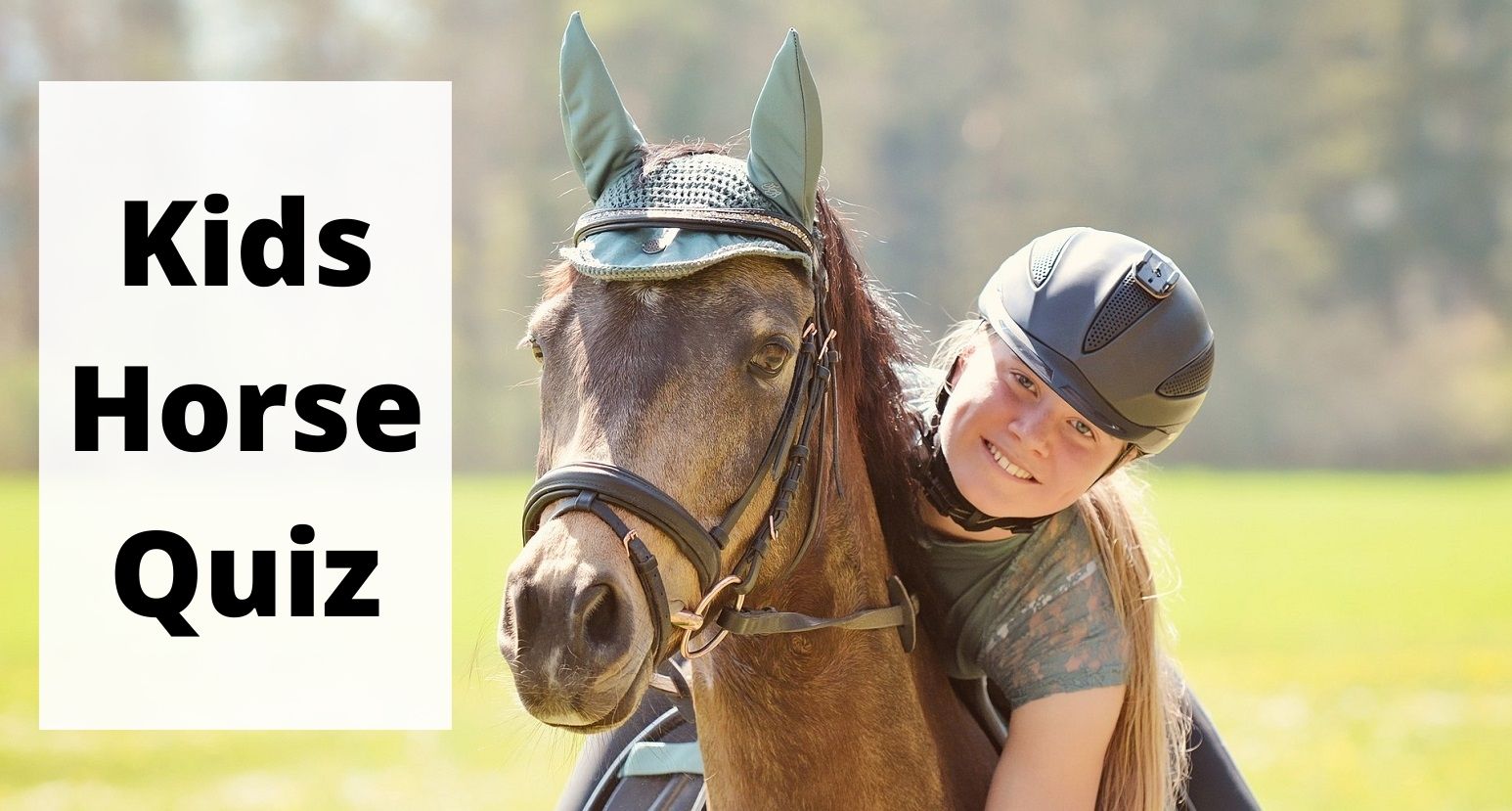 Horse quiz and trivia questions for kids and beginner riders