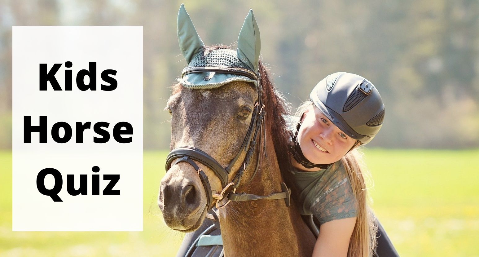 15 Fun Horse Quiz Questions For Kids Beginner Riders