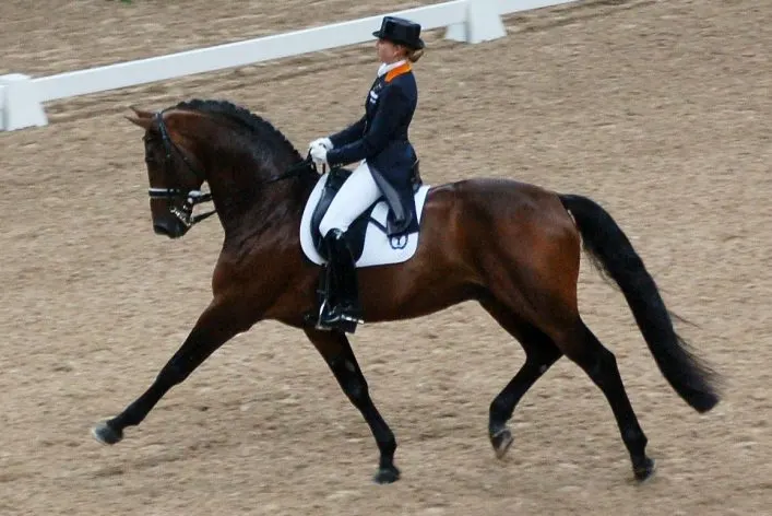 Extended trot element in dressage