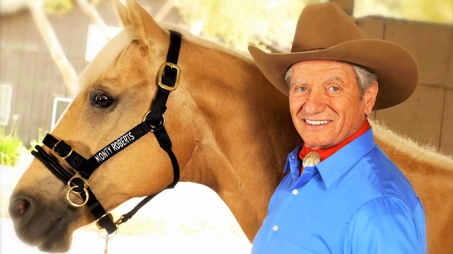 Monty Roberts, natural horsemanship trainer facts, stats, and story