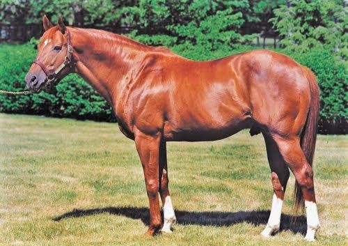 Secretariat horse nickname was Big Red trivia question