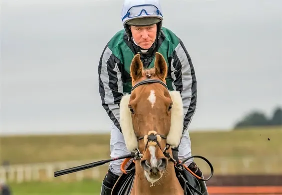 Horse and jockey looking at the camera on a race track