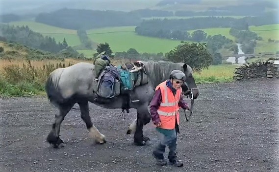 80-year-old woman completes annual 600-mile trek with her pony and dog