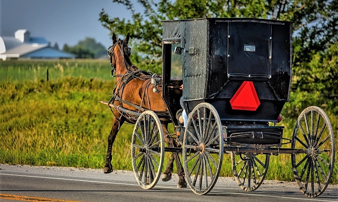 Amish horse-drawn carriage on the road