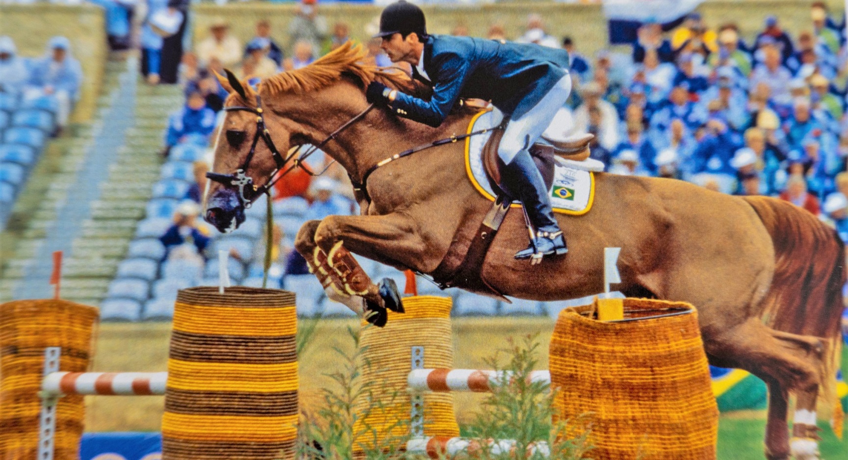 6 Facts & FAQs About Baloubet Du Rouet, Famous Show Jumping Horse
