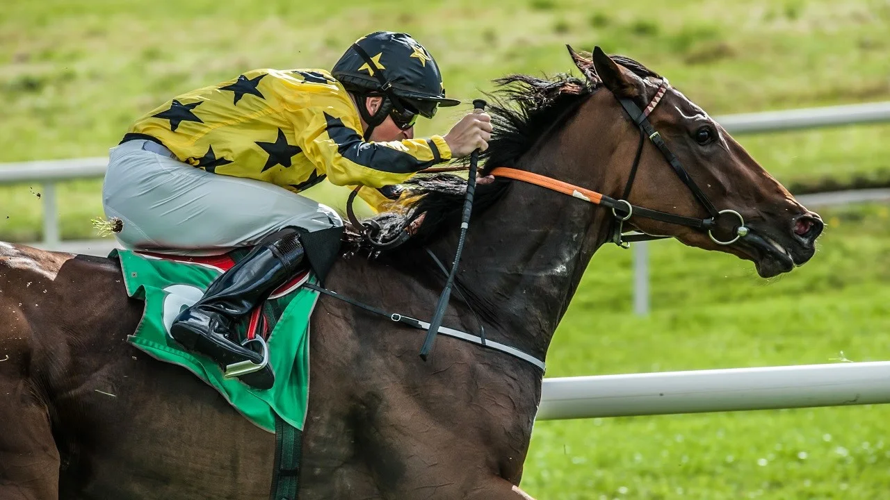 Is Horse Racing Cruel? Impartial View With Both Sides Explored