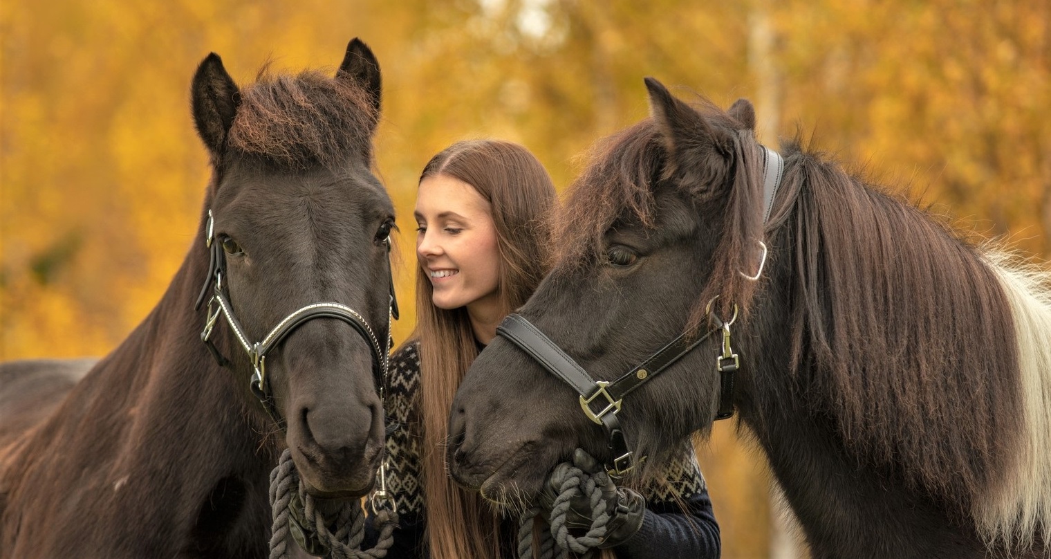 Why Horse Racing is Not Cruel 