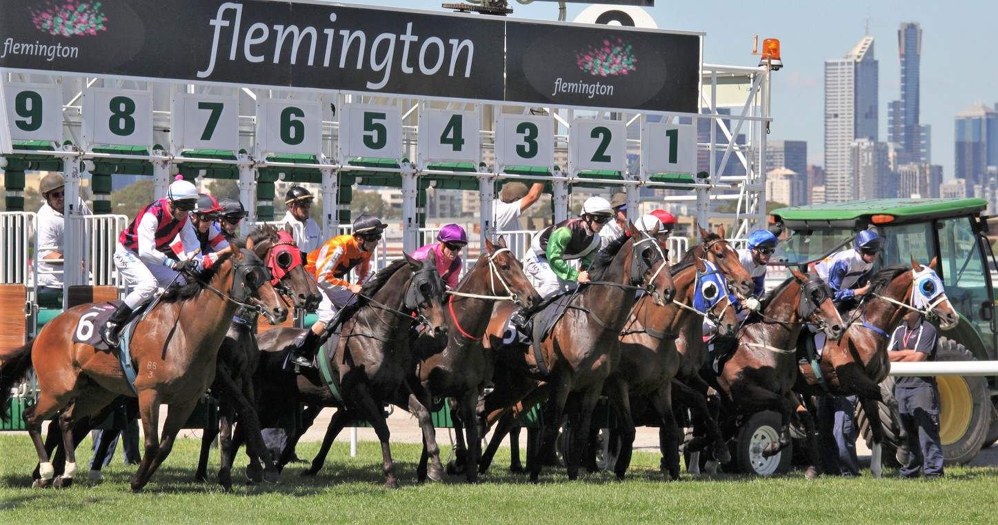 Melbourne Cup Guide: History, Facts, Stats & Common FAQs Answered