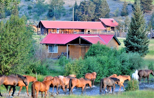 10 Best Montana Horseback Riding Vacations